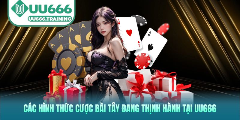 Các hình thức cược bài Tây đang thịnh hành tại UU666