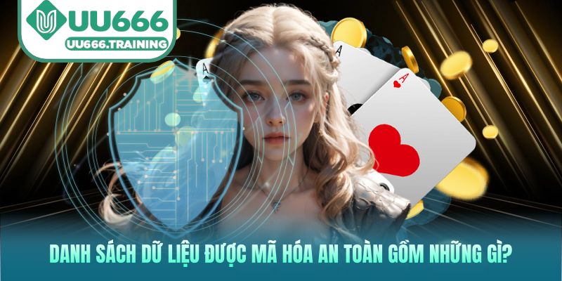 Danh sách dữ liệu được mã hóa an toàn gồm những gì?
