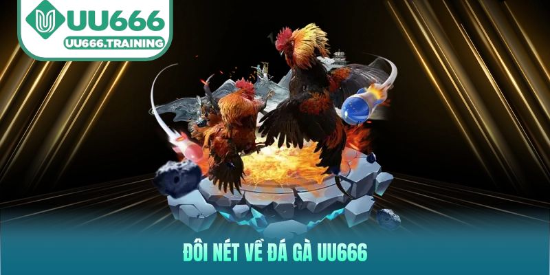 Đôi nét về đá gà UU666