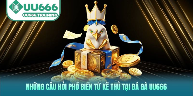 Những câu hỏi phổ biến từ kê thủ tại đá gà UU666