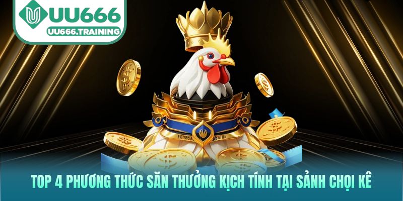 Top 4 phương thức săn thưởng kịch tính tại sảnh chọi kê